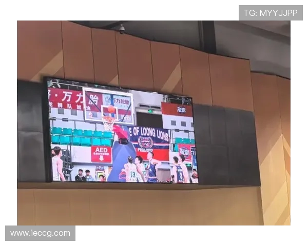 足球运动员到CBA看球的趣闻汇总