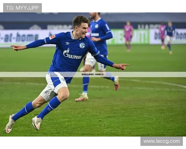 金元足球兴起背景下的德甲代表球队介绍